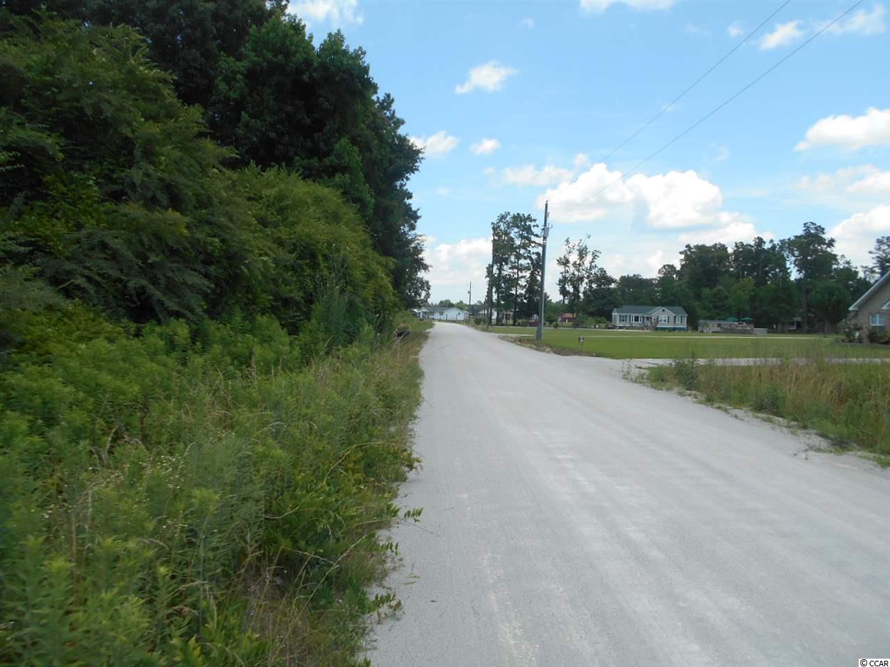 Lot 5 Elbow Road Conway, SC 29527 - Photo 7 of 11 Gallery Image 7