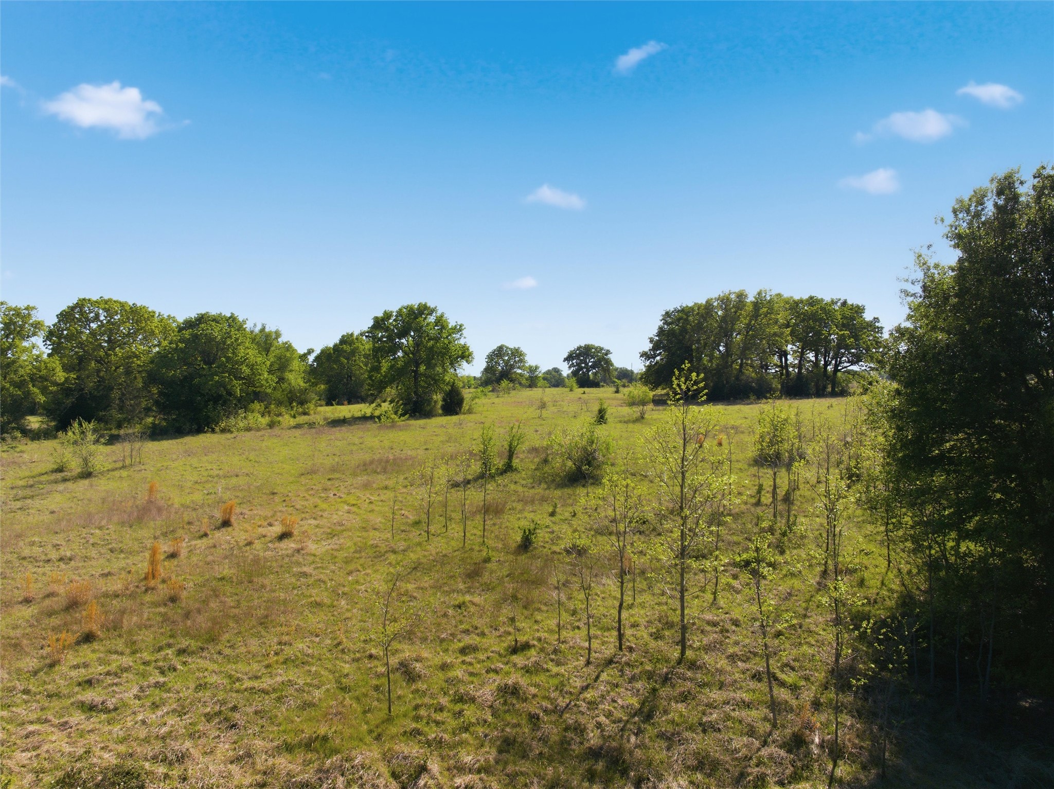 0 Fm 3371 Groesbeck, TX 76642 - Photo 11 of 21