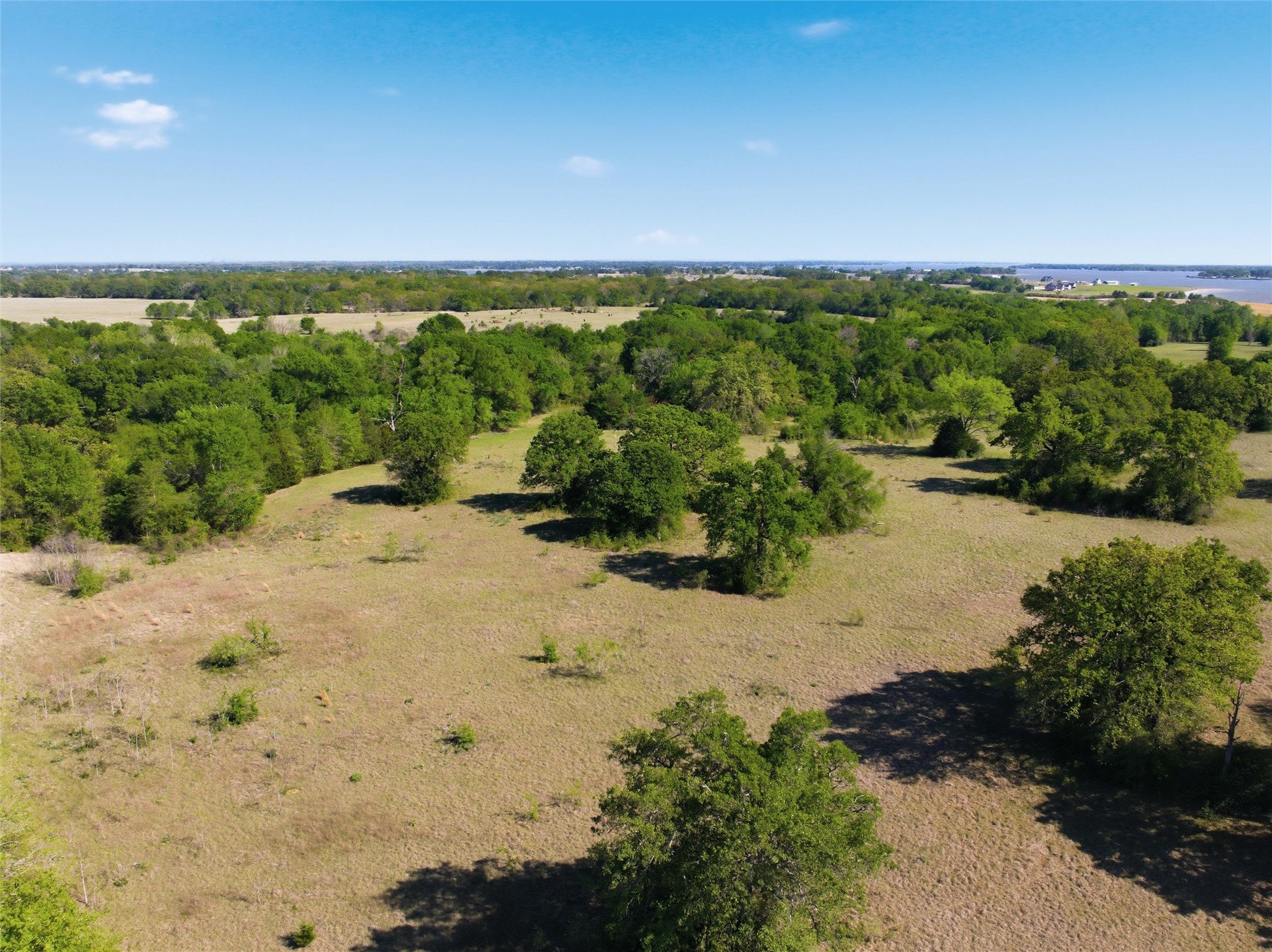 0 Fm 3371 Groesbeck, TX 76642 - Photo 12 of 21