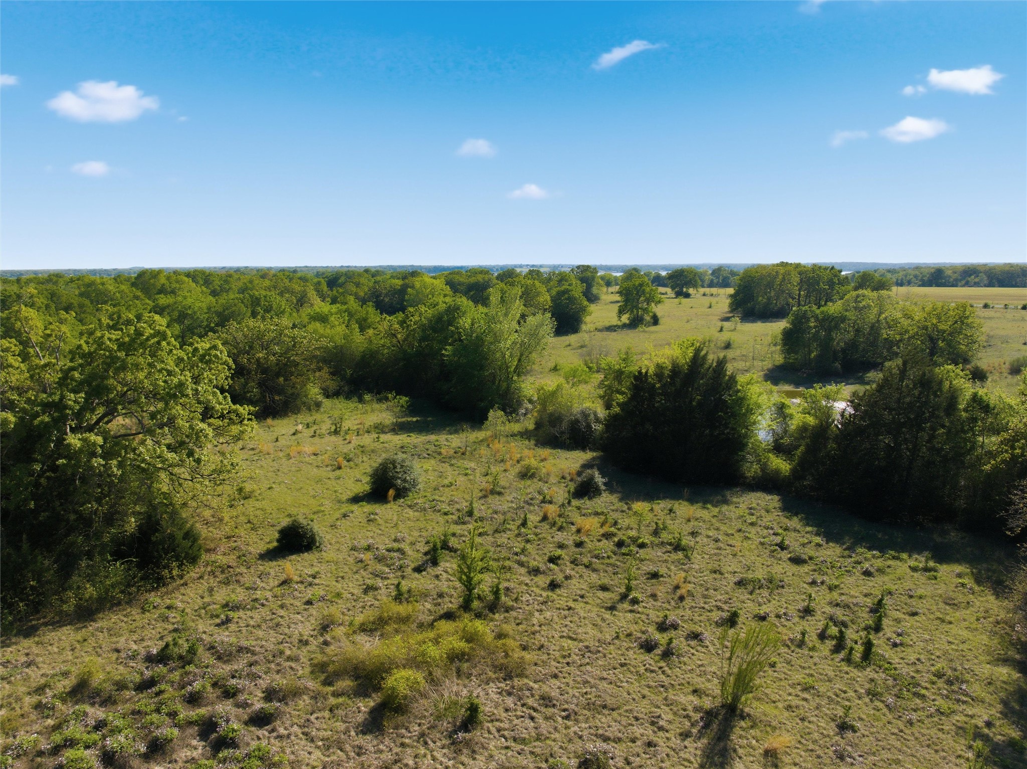 0 Fm 3371 Groesbeck, TX 76642 - Photo 14 of 21