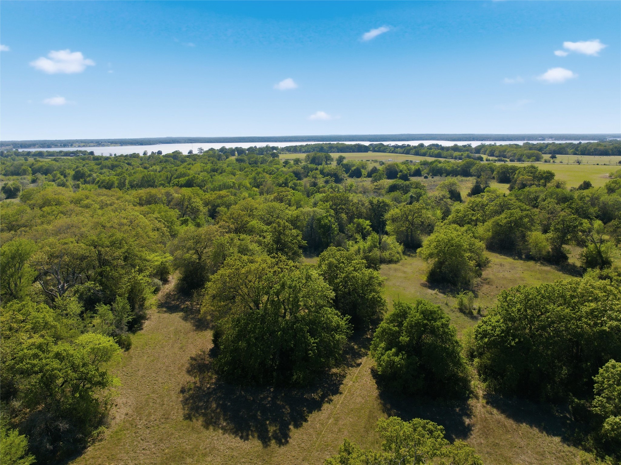 0 Fm 3371 Groesbeck, TX 76642 - Photo 18 of 21