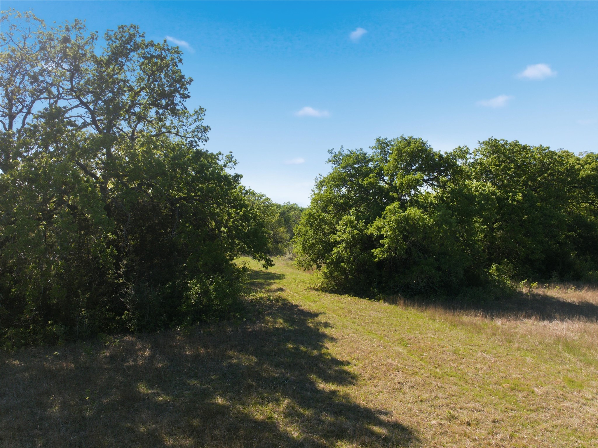 0 Fm 3371 Groesbeck, TX 76642 - Photo 19 of 21