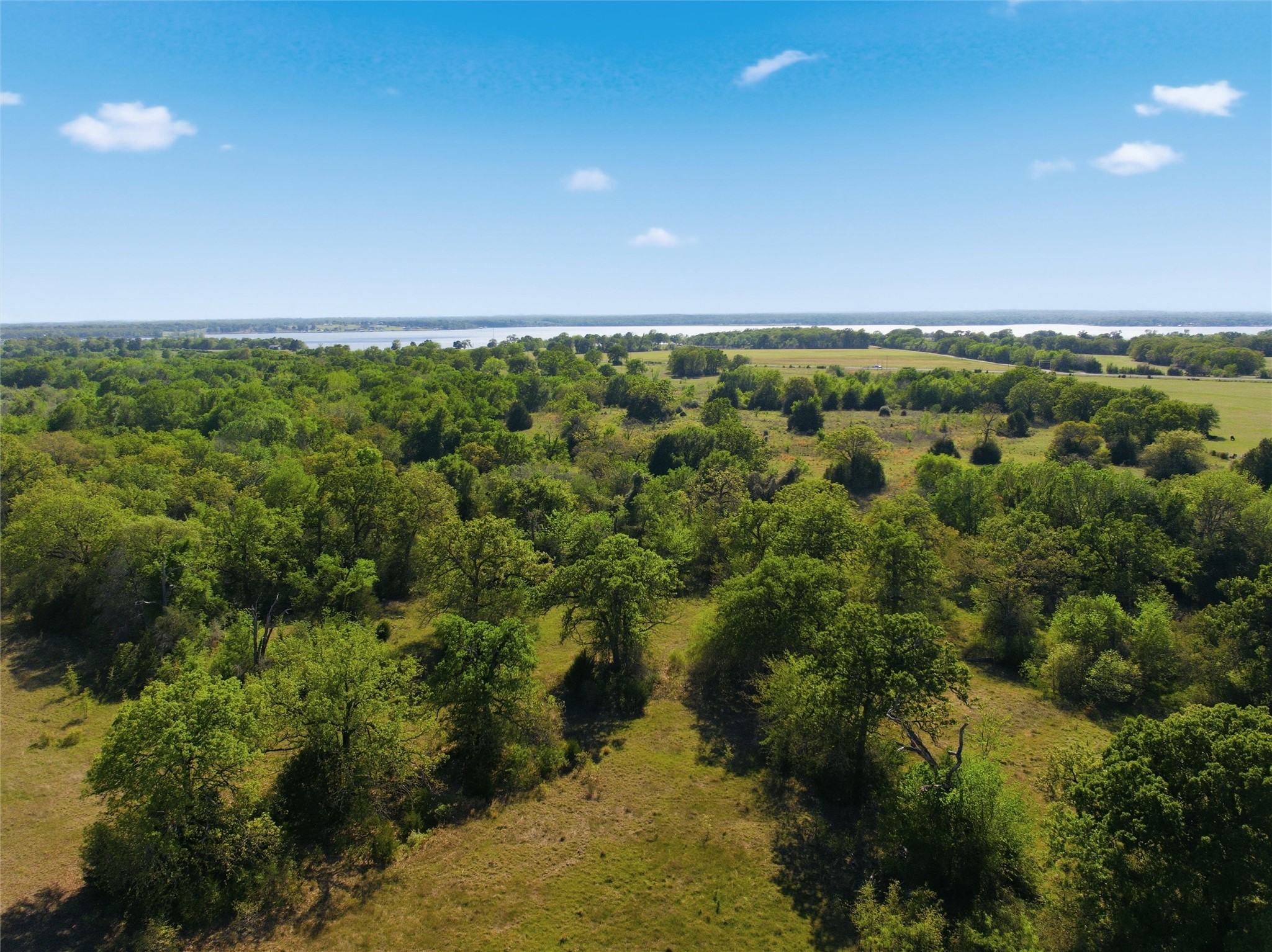 0 Fm 3371 Groesbeck, TX 76642 - Photo 20 of 21