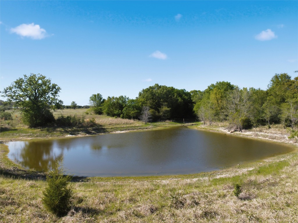 0 Fm 3371 Groesbeck, TX 76642 - Photo 2 of 21