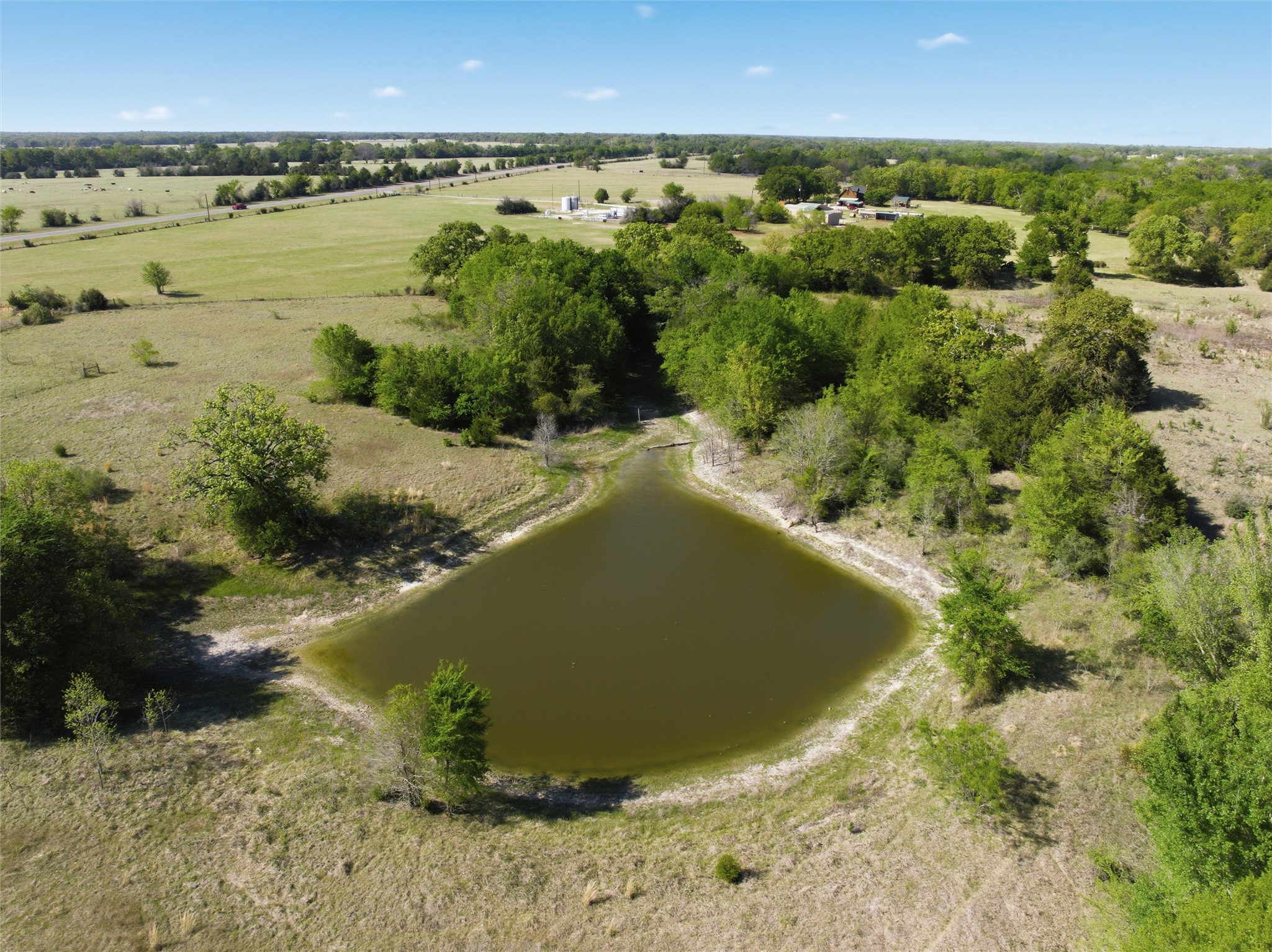 0 Fm 3371 Groesbeck, TX 76642 - Photo 4 of 21