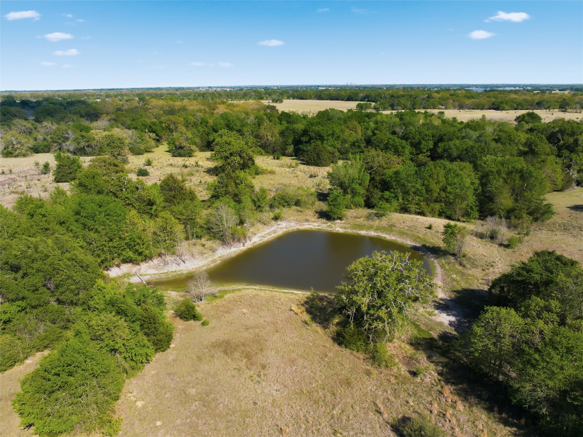 0 Fm 3371 Groesbeck, TX 76642 - Photo 5 of 21