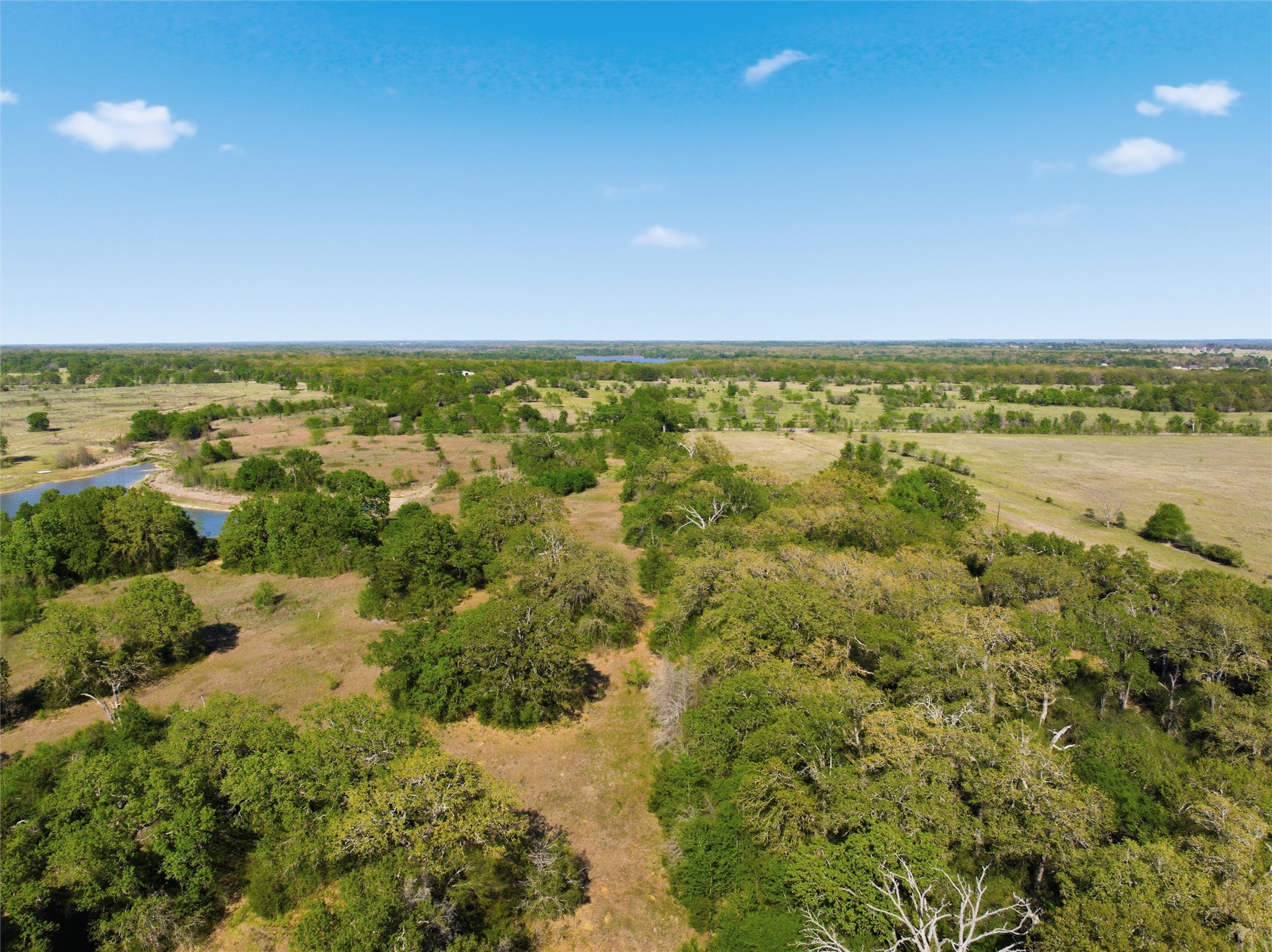 0 Fm 3371 Groesbeck, TX 76642 - Photo 6 of 21