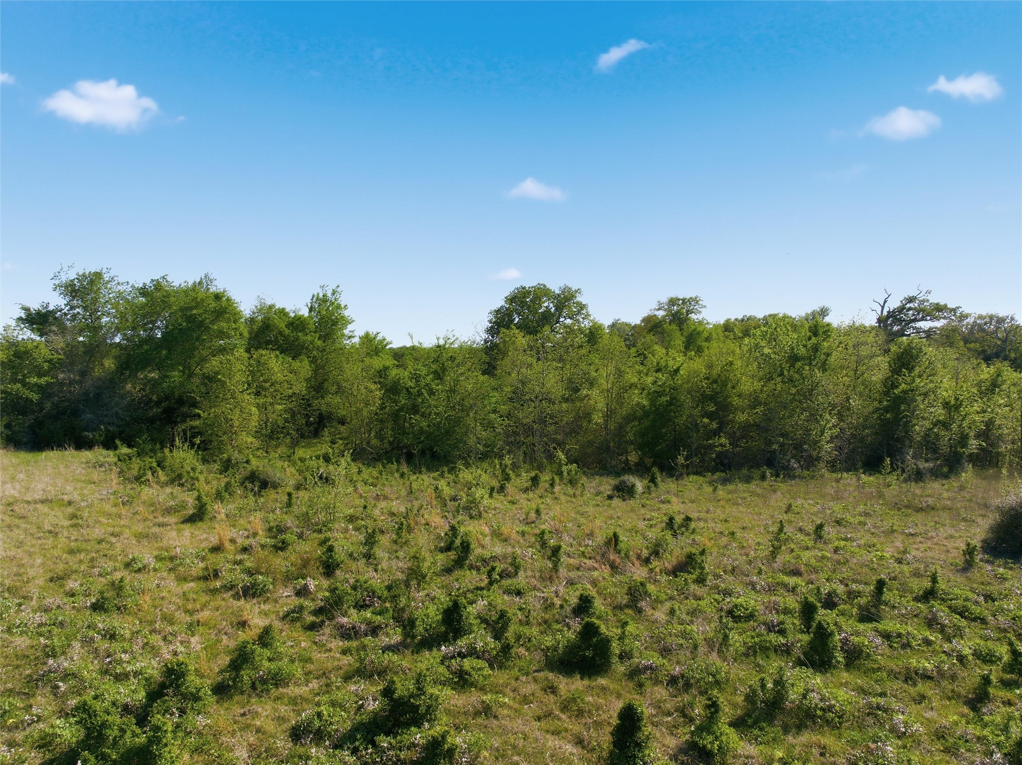 0 Fm 3371 Groesbeck, TX 76642 - Photo 7 of 21