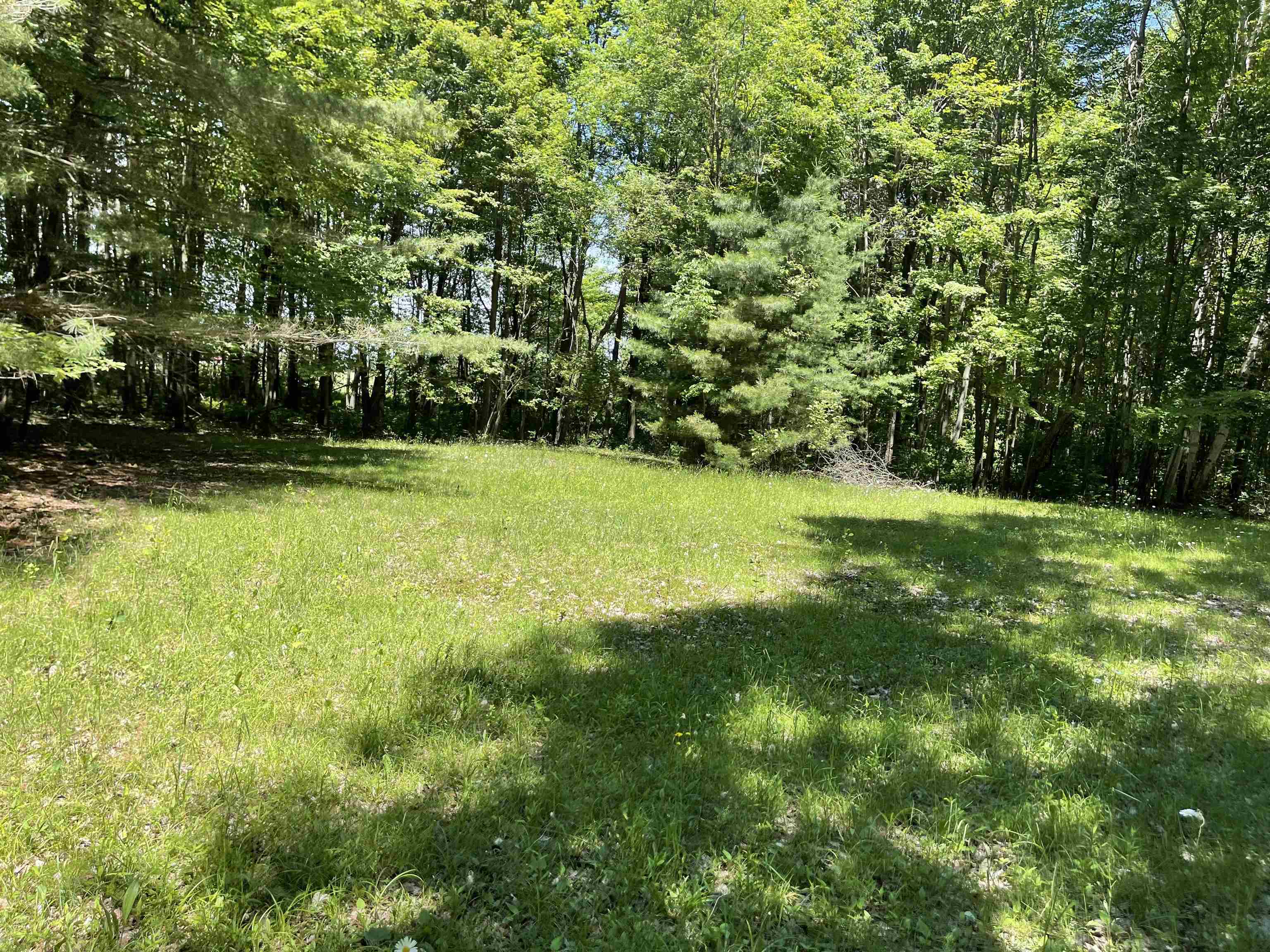 7326 West Esmond Road Hale, MI 48739 - Photo 4 of 5 Gallery Image 4