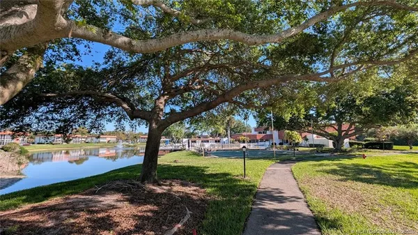 a view of a park with large trees