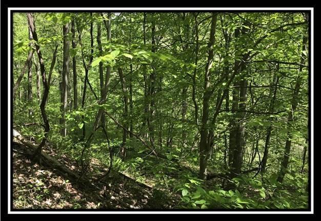 0 Old Union Road Ironton, OH 45638 - Photo 19 of 65 image019