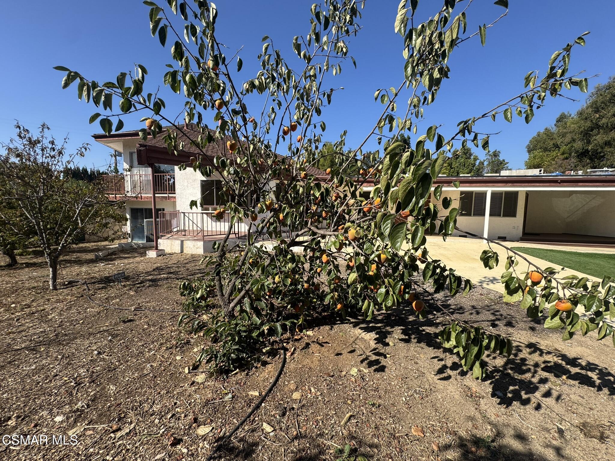 381 Laguna Terrace Simi Valley, CA 93065 - Photo 45 of 48 IMG_1783