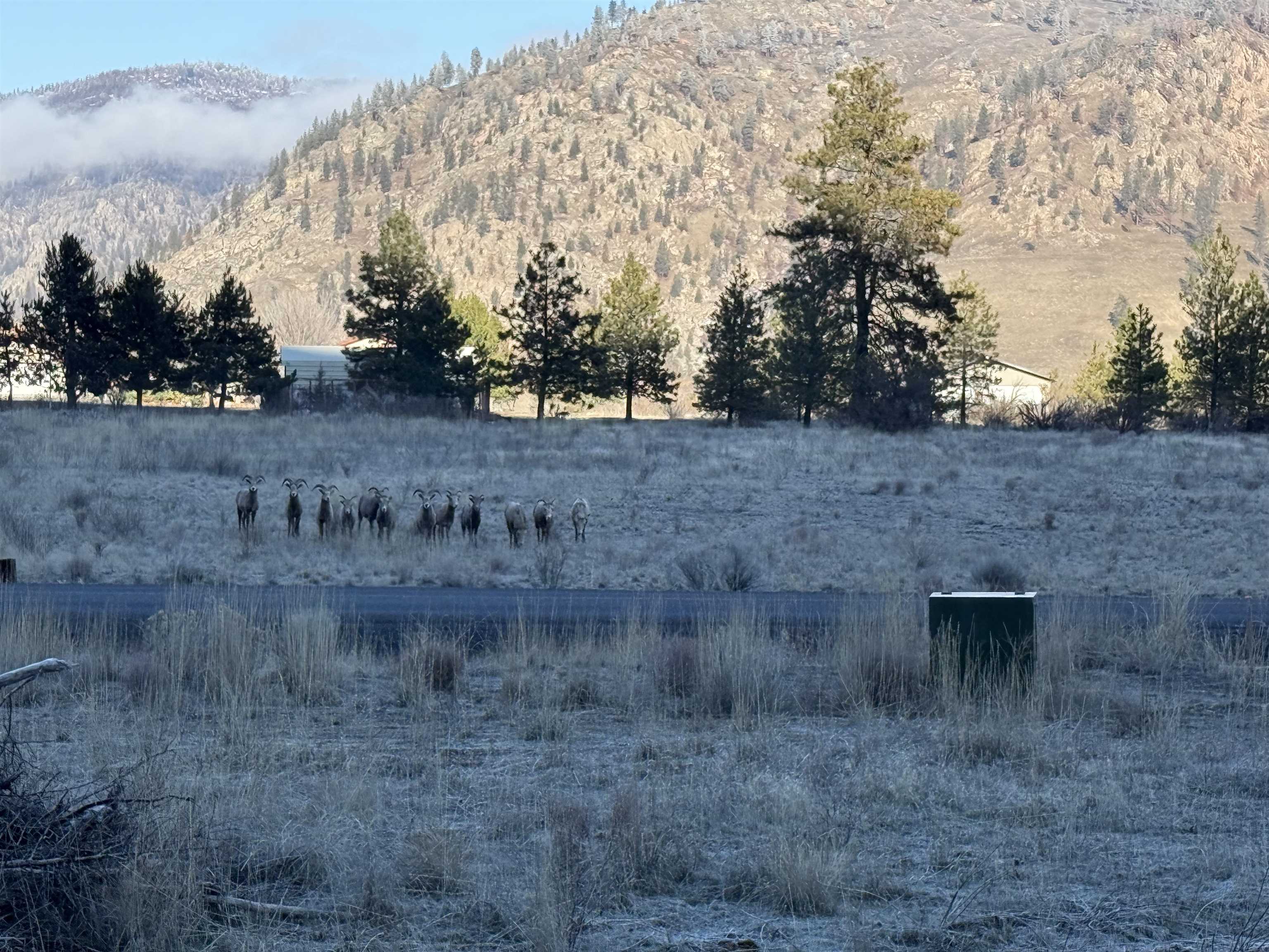 99147 North Sterling Valley Road Lincoln, WA 99147 - Photo 11 of 16