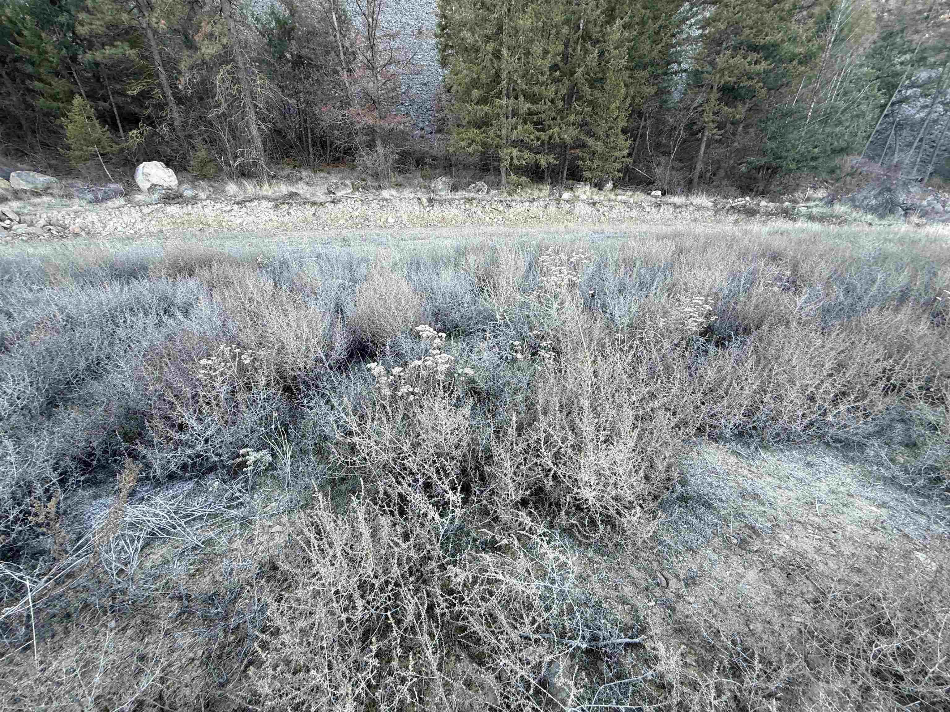 99147 North Sterling Valley Road Lincoln, WA 99147 - Photo 14 of 16