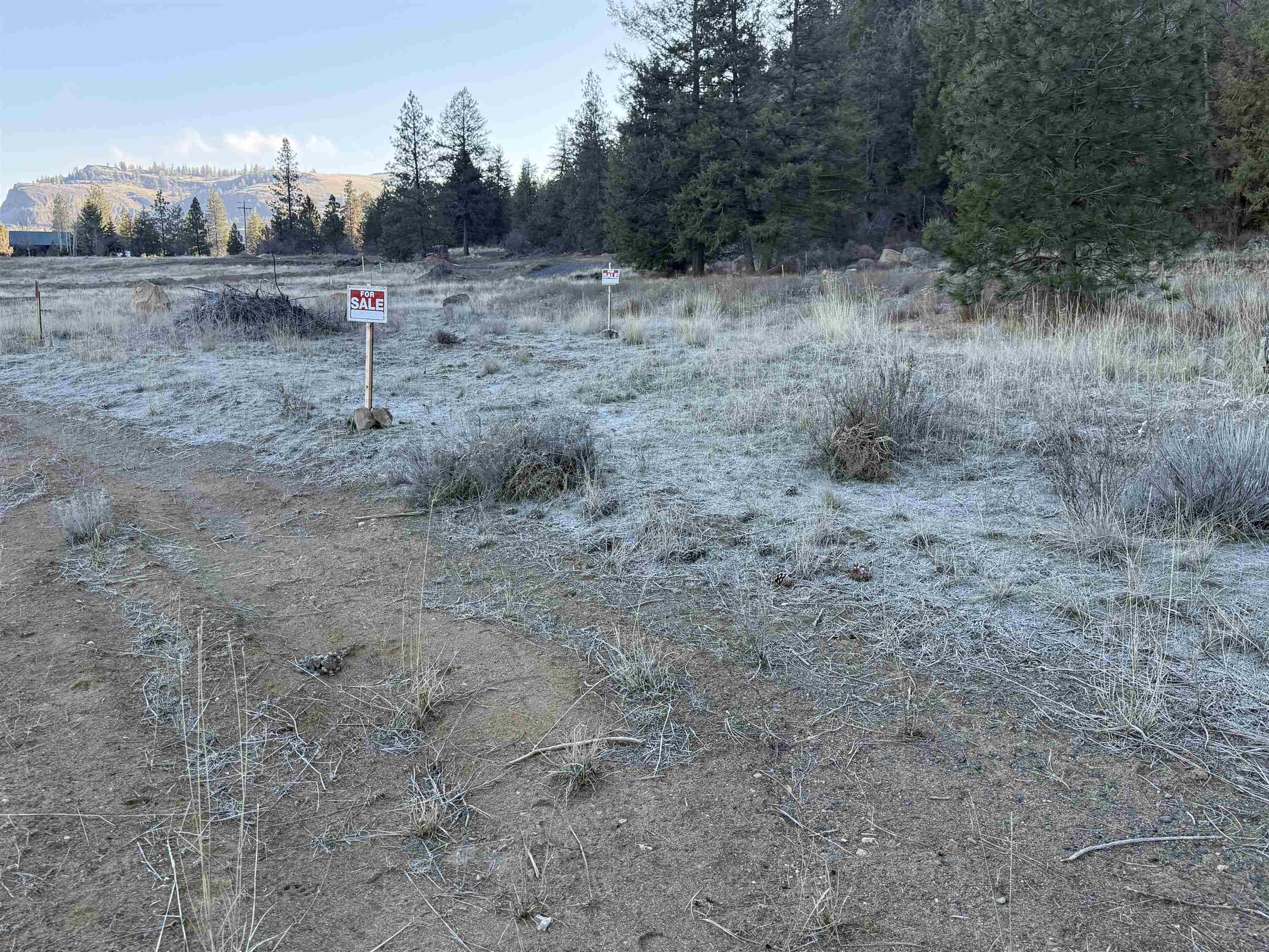 99147 North Sterling Valley Road Lincoln, WA 99147 - Photo 9 of 16