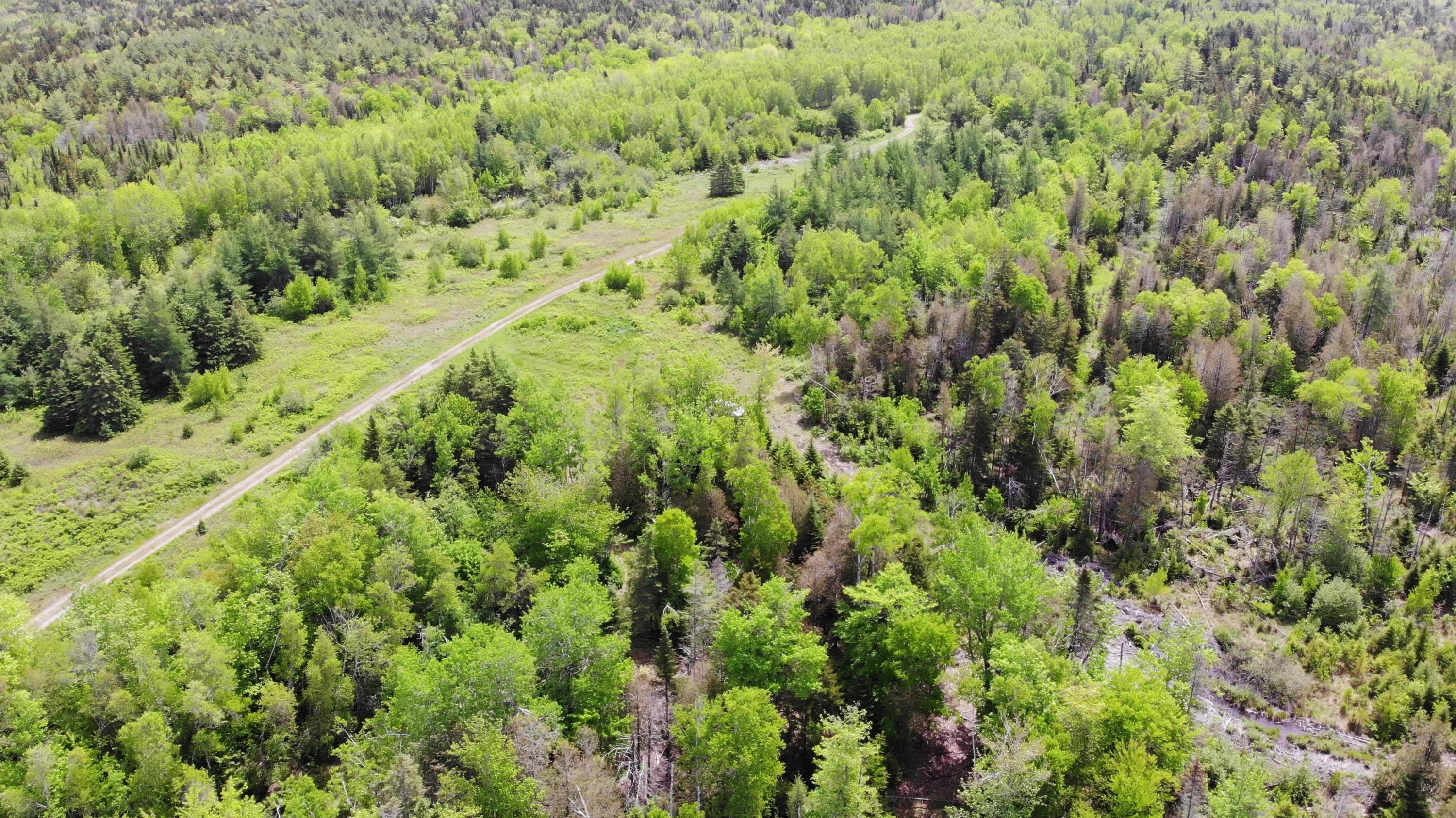M2-l9 &10 Diffin Hill Road Robbinston, ME 04671 - Photo 4 of 66 Pic 7