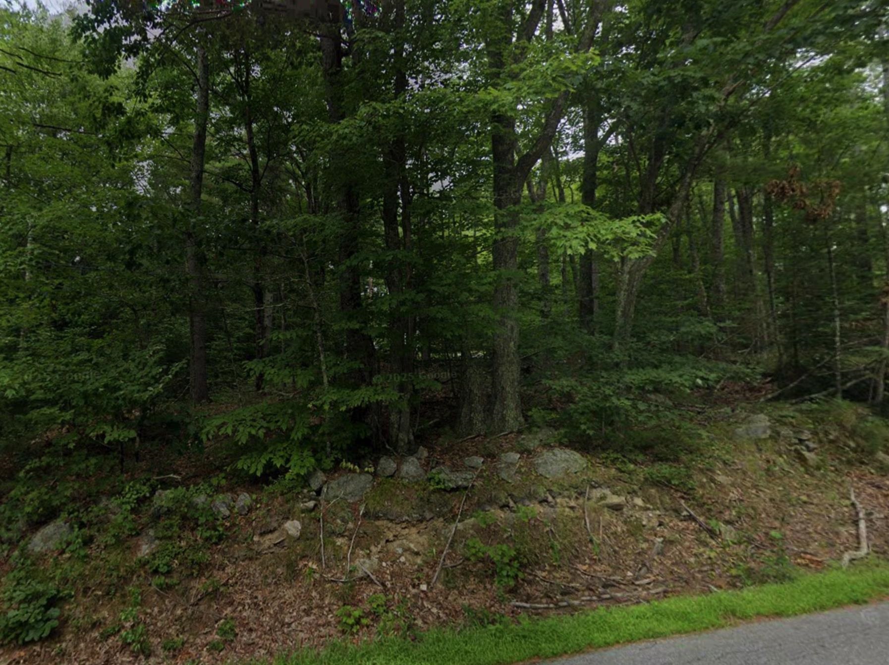 115 New Rye Road Epsom, NH 03234 - Photo 2 of 3 Gallery Image 2