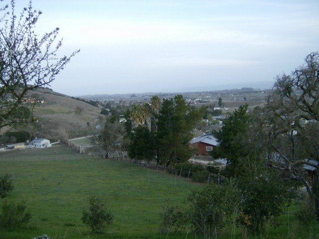 4061 Cienega Road Hollister, CA 95023 - Photo 3 of 25 a view of a garden with plants and large trees