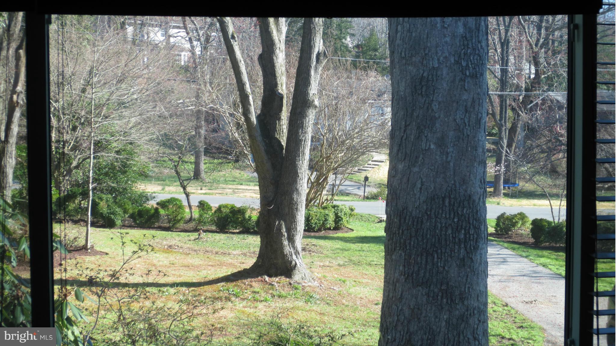 1907 Kimberly Road Silver Spring, MD 20903 - Photo 8 of 19 View