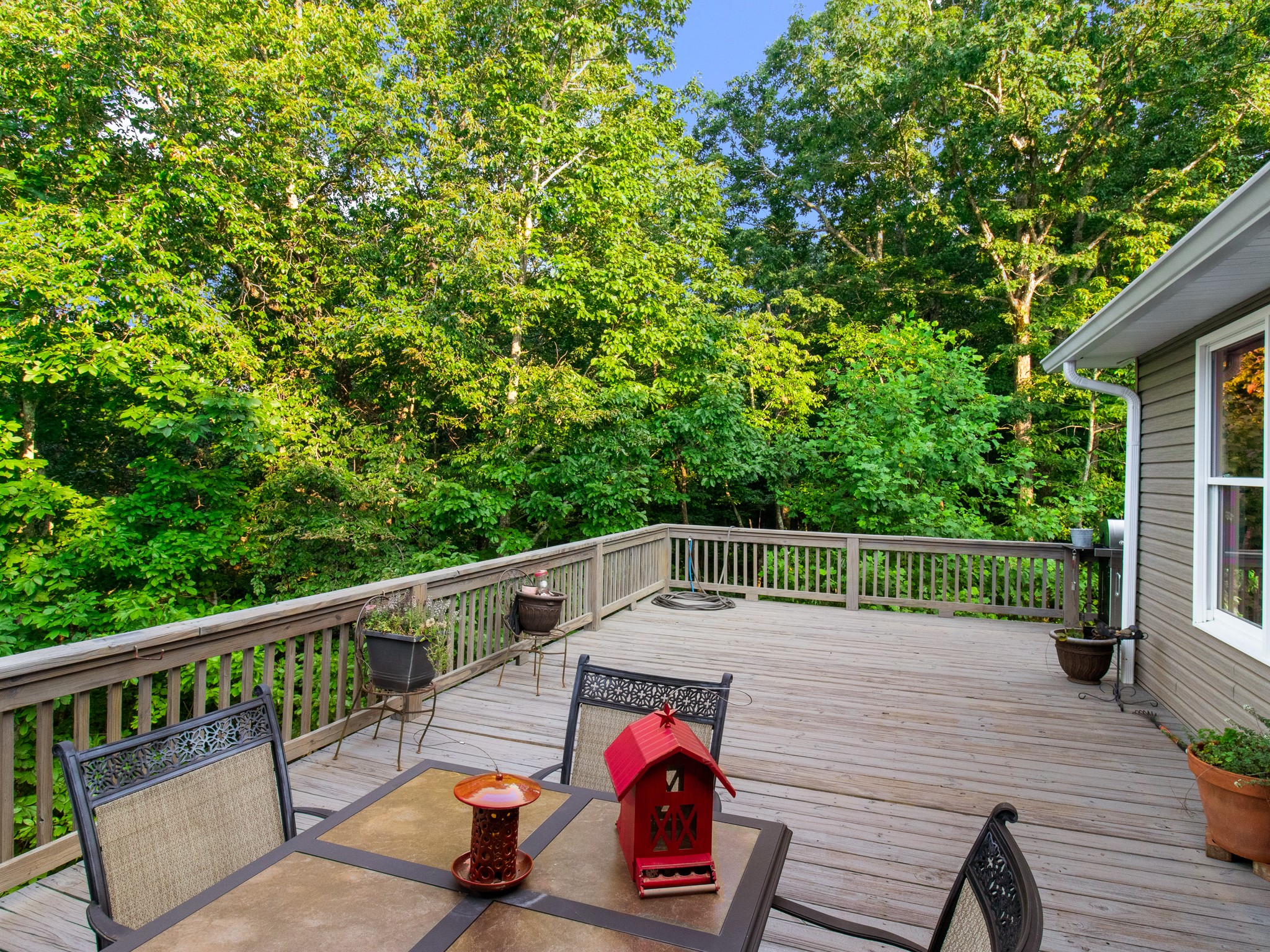 459 Jackson Point Road Sewanee, TN 37375 - Photo 42 of 48 Gallery Image 42
