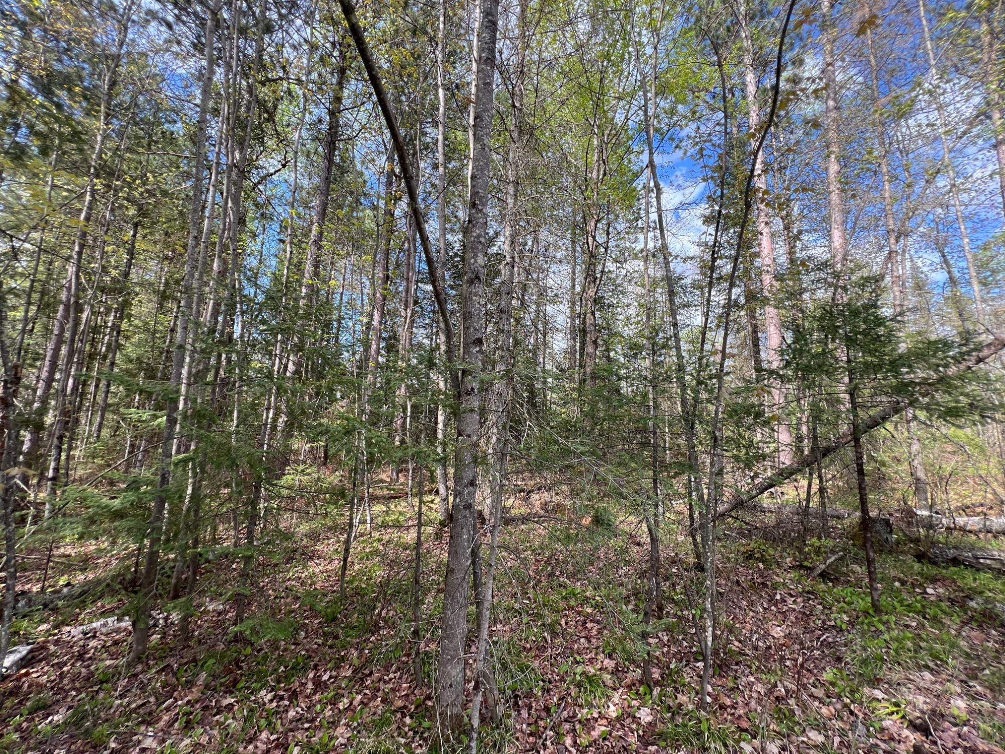 On Ripco Road Eagle River, WI 54521 - Photo 2 of 20 Gallery Image 2