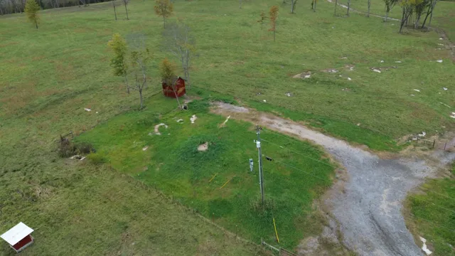 a view of a green field