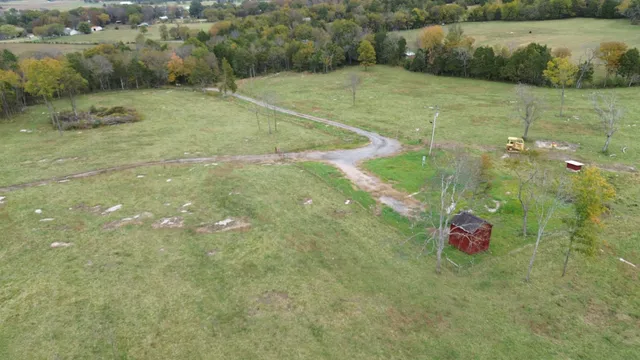 a view of a lush green forest with a lake
