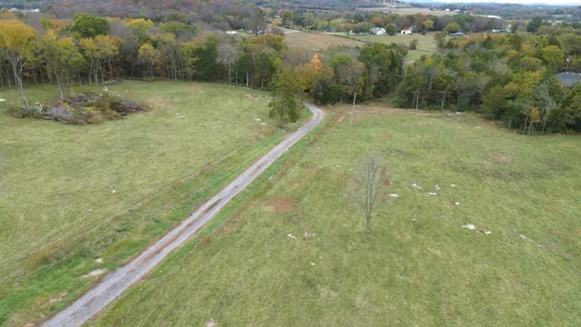 a view of a dry yard with green space