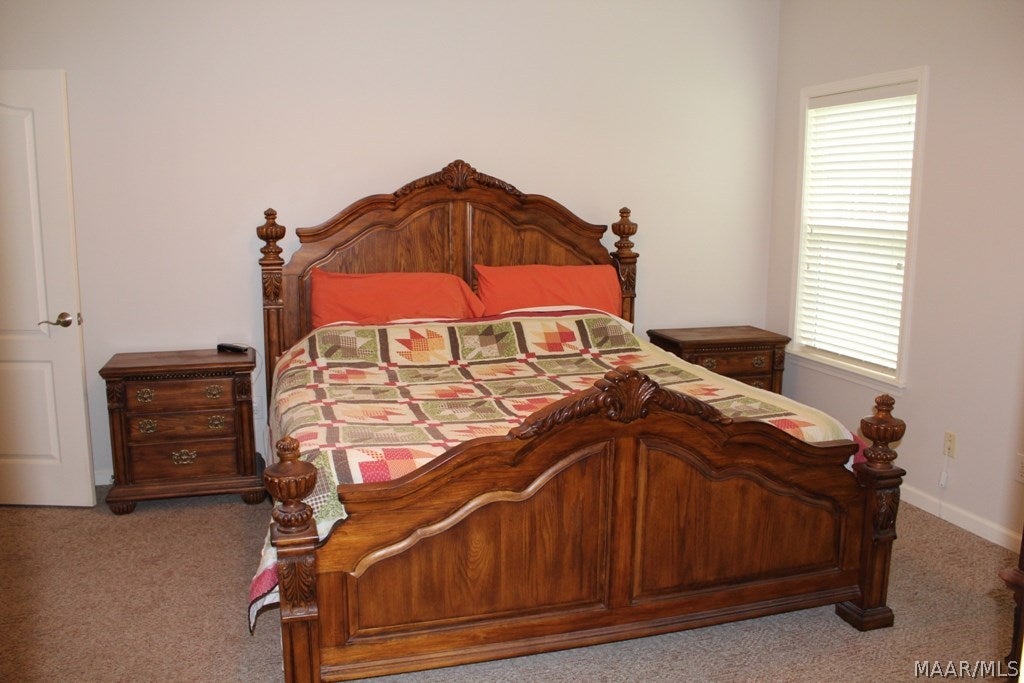896 Doe Run Road Newton, AL 36352 - Photo 12 of 36 Gallery Image 12
