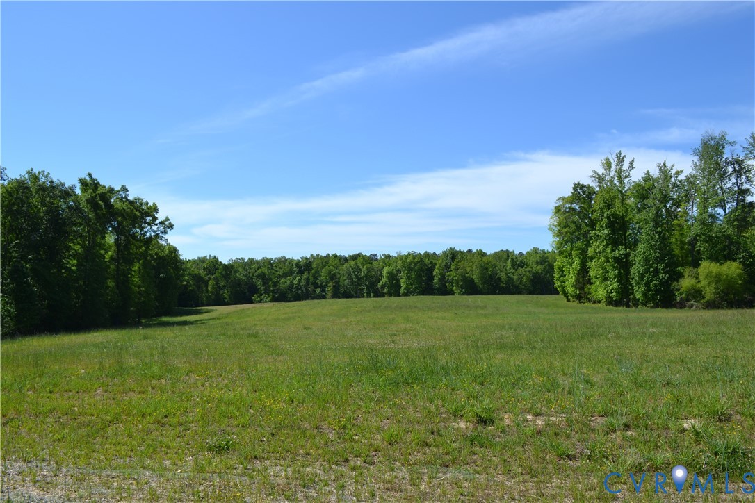 11160 Beaver Bridge Road Chesterfield, VA 23838 - Photo 8 of 16 a view of grassy field with trees