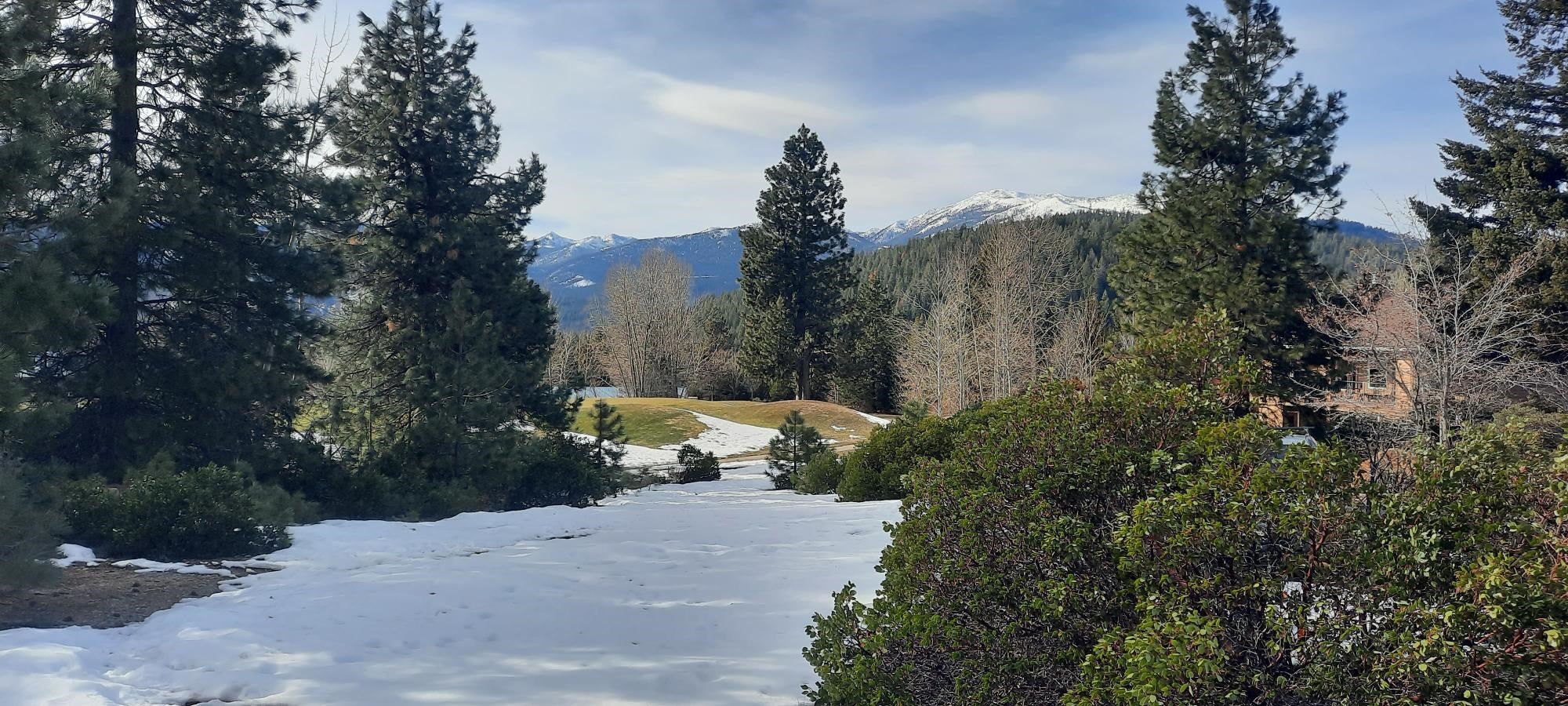 Lot 56 Grant Road Mount Shasta, CA 96067 - Photo 2 of 16 Gallery Image 2