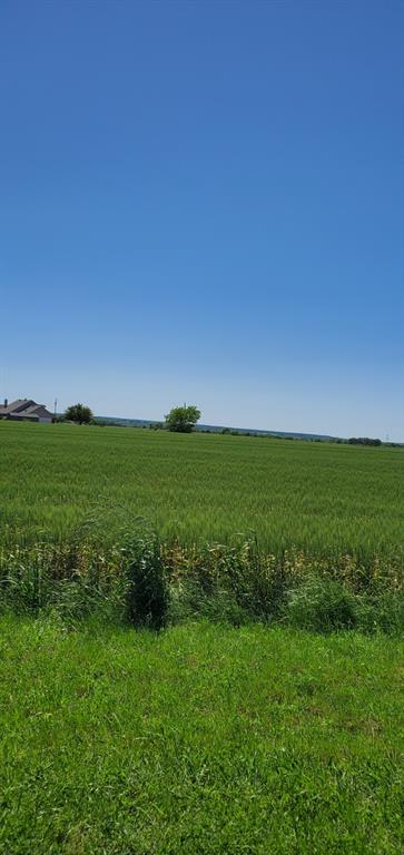 104 Anderson Road Waxahachie, TX 75167 - Photo 9 of 10 a view of a field with an ocean