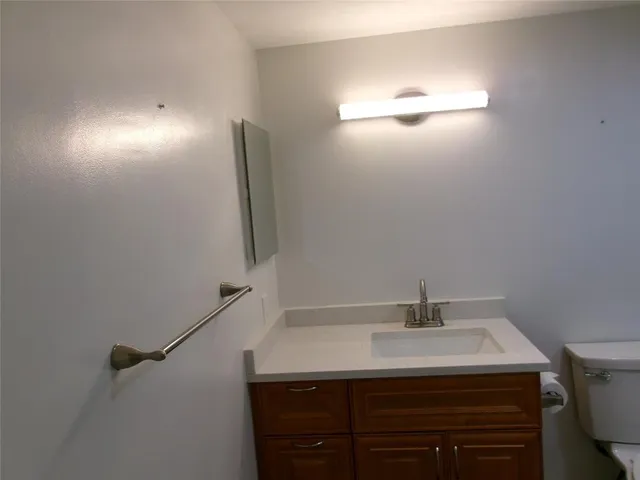 a bathroom with a sink vanity and toilet
