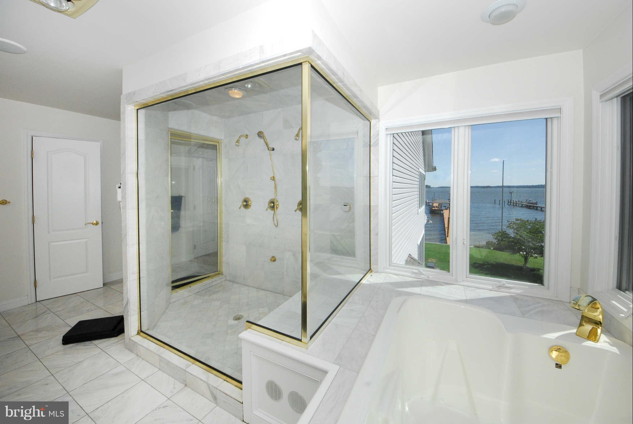 464 Cedar Haven Road Arnold, MD 21012 - Photo 15 of 28 Master bath steam shower with multiple showerheads