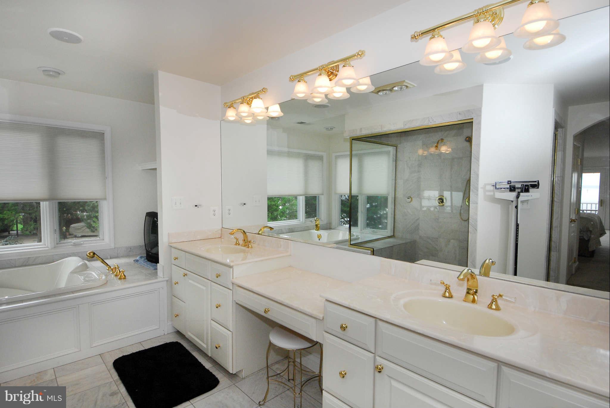 464 Cedar Haven Road Arnold, MD 21012 - Photo 17 of 28 Gorgeous master bathroom