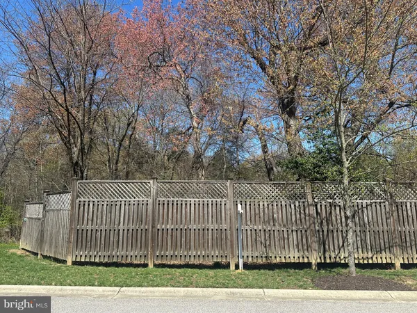 a view of a backyard with plants and a trees