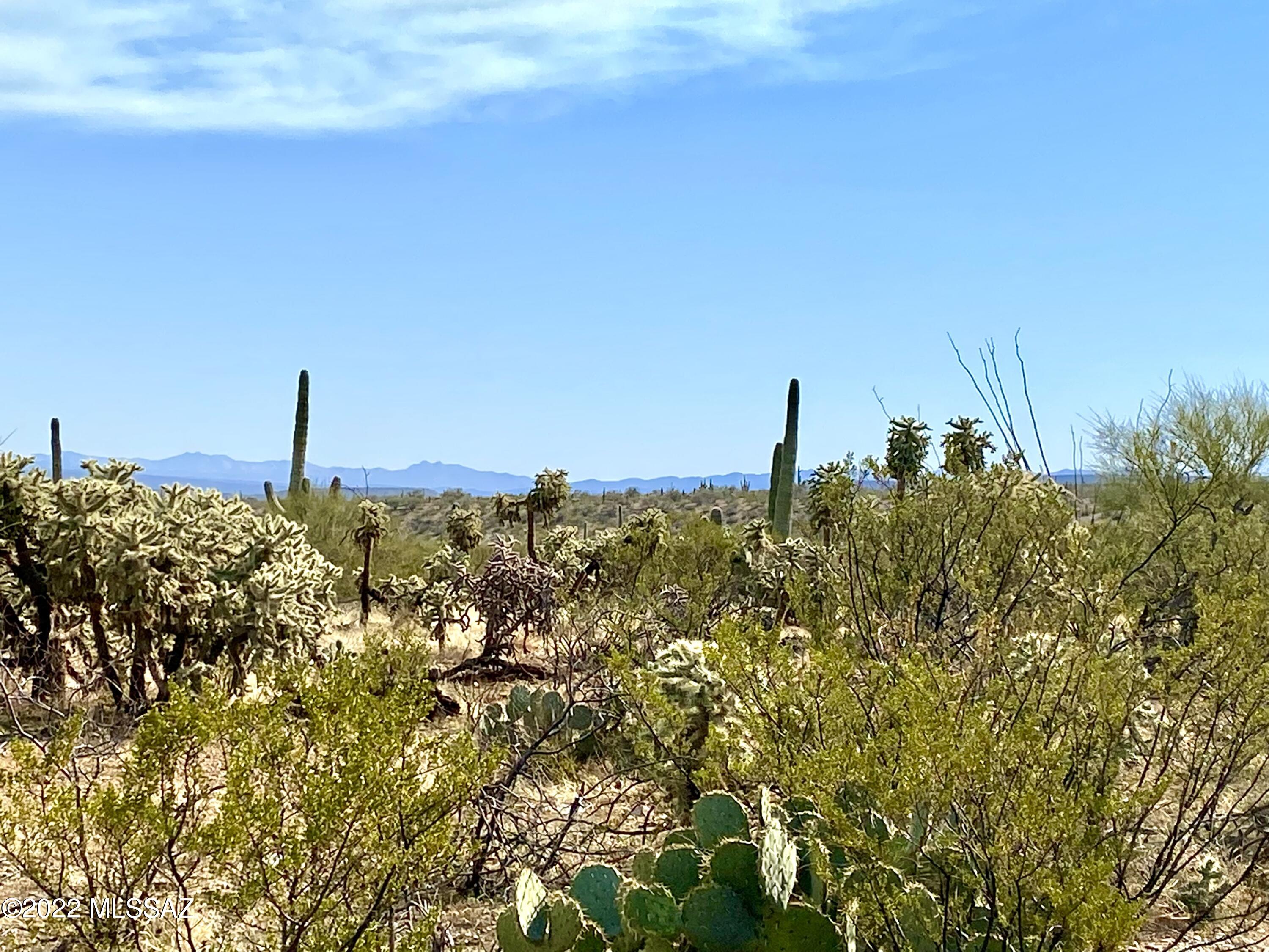 10 Acres 3c Ranch Road San Manuel, AZ 85631 - Photo 2 of 8