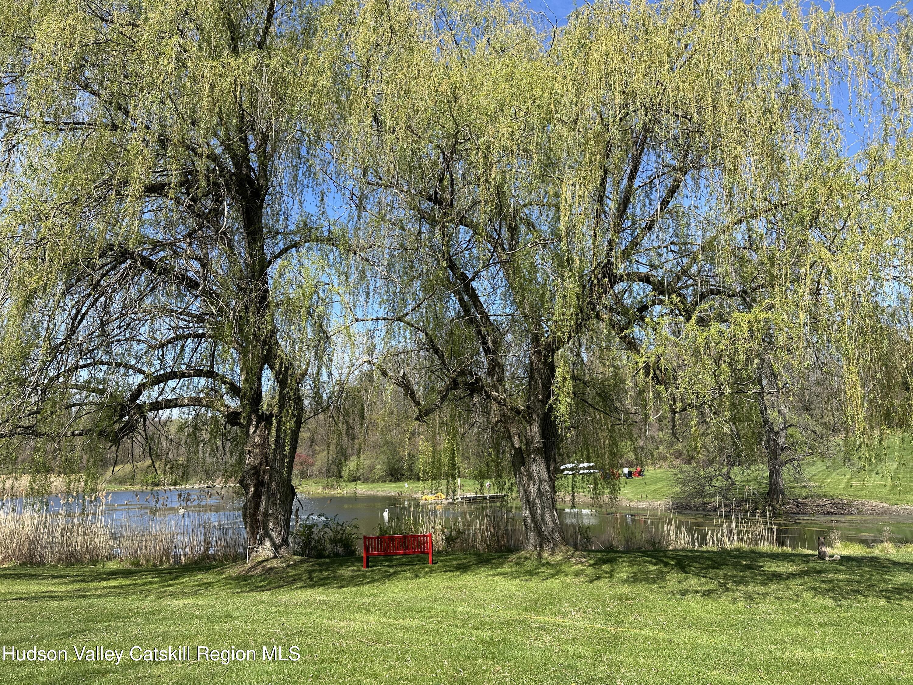 443 Taghkanic Road Elizaville, NY 12523 - Photo 37 of 44 Bench Willows