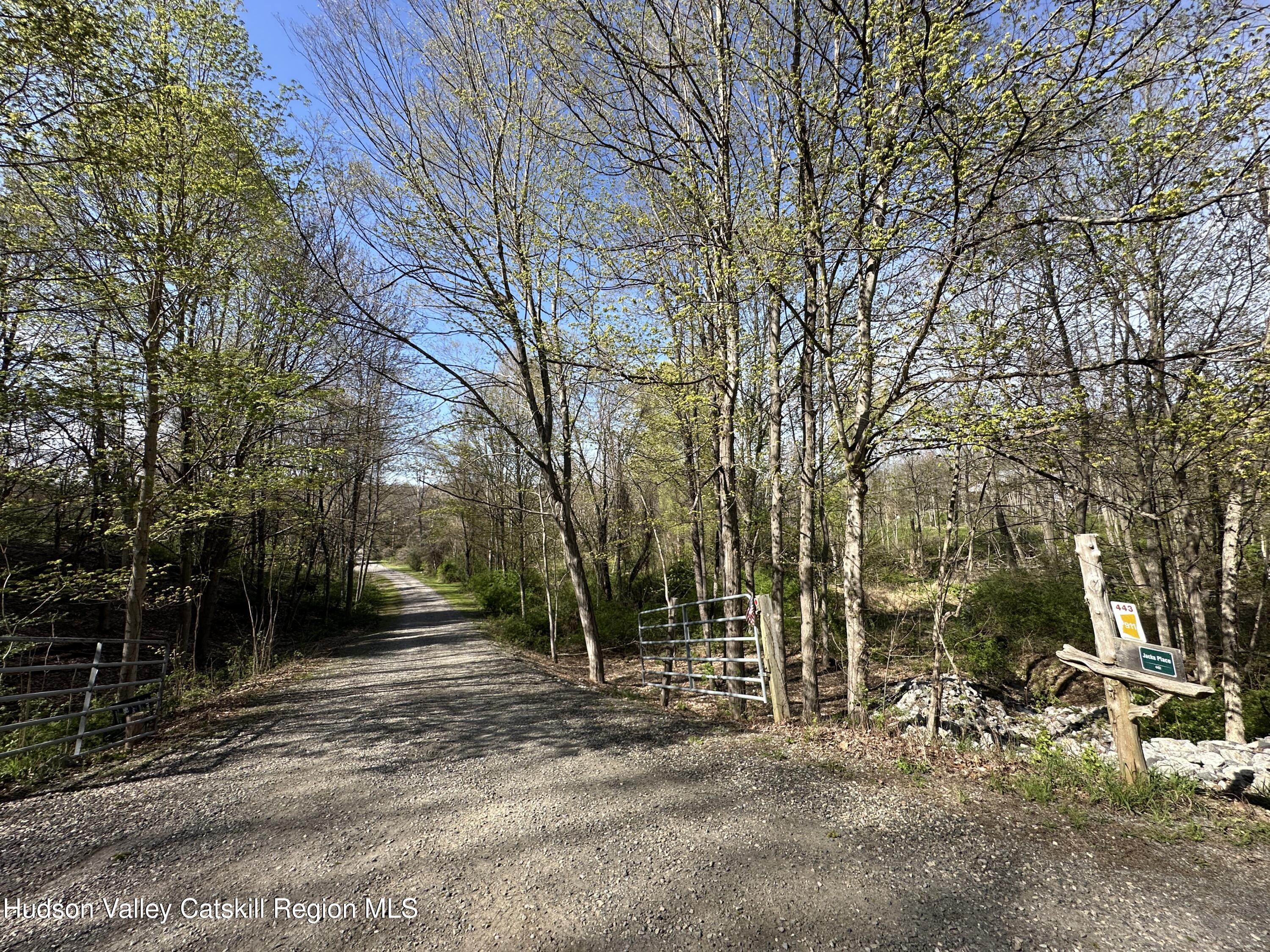 443 Taghkanic Road Elizaville, NY 12523 - Photo 44 of 44 Driveway