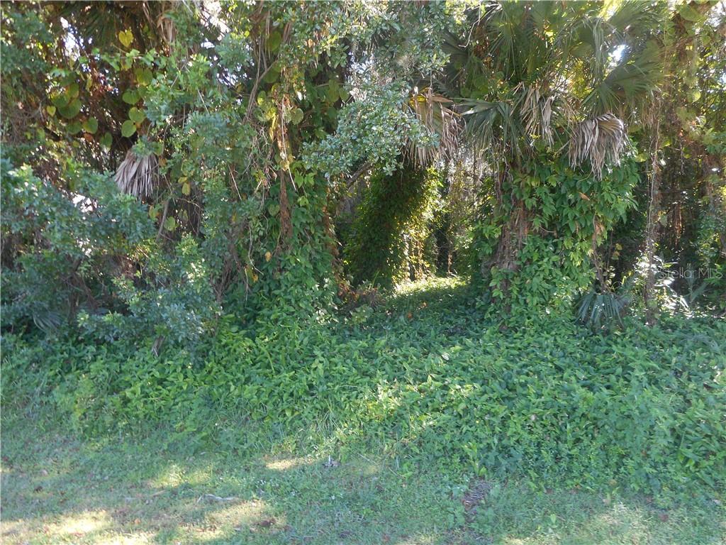 406 Border Street Port Charlotte, FL 33953 - Photo 1 of 1