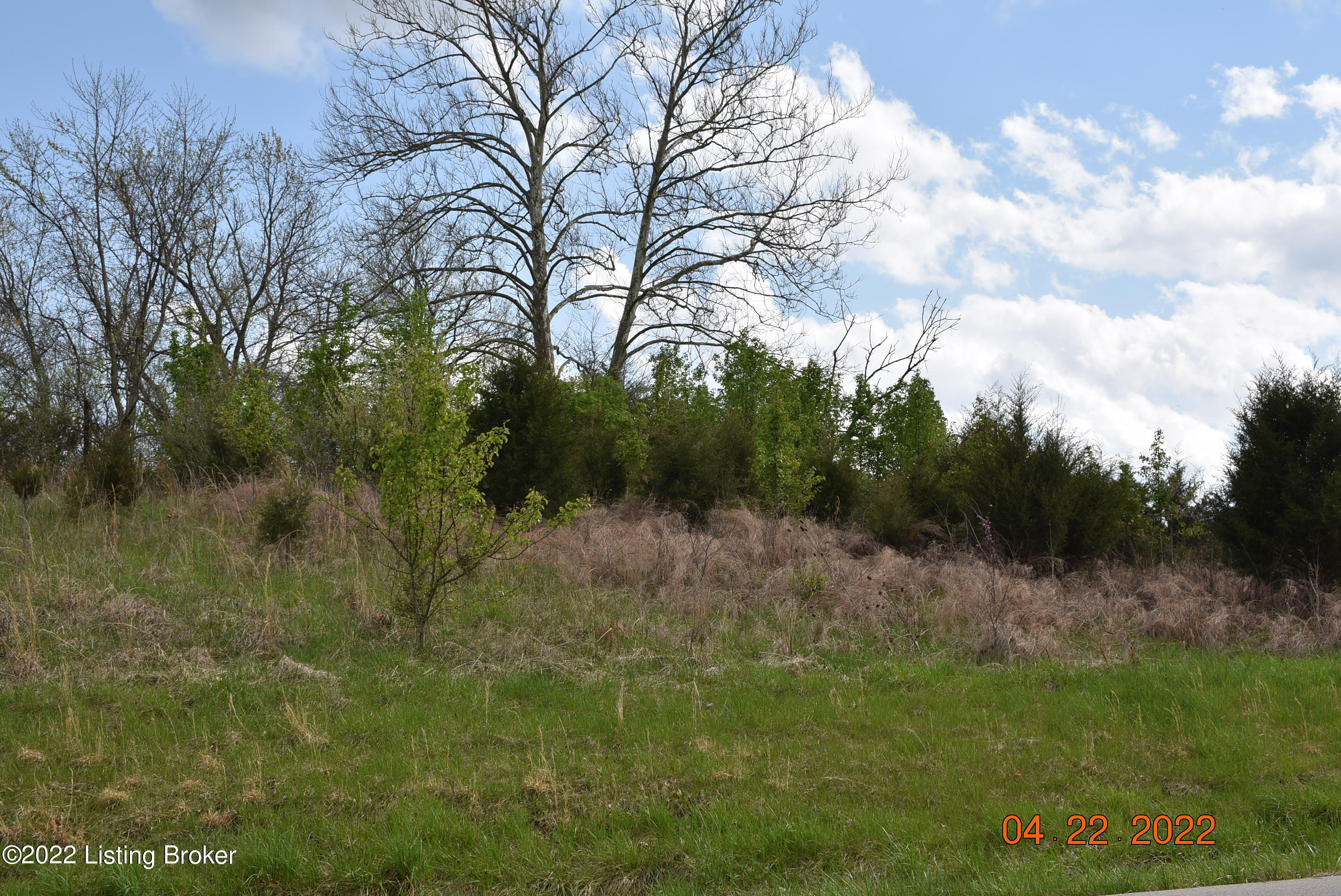 1 Hickory Ridge Road Waddy, KY 40076 - Photo 8 of 9 DSC_0291