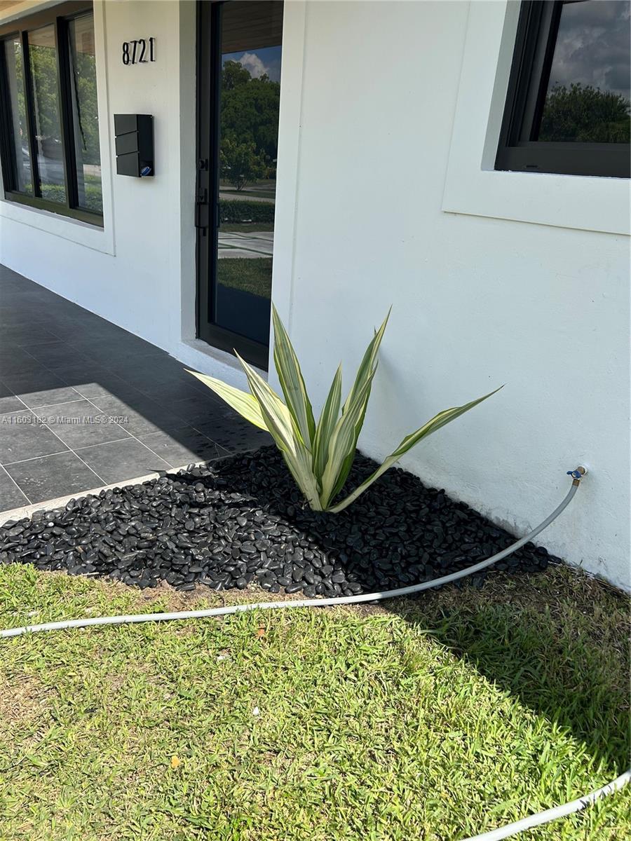 Westchester Miami, FL 33165 - Photo 8 of 14 a view of a plant in a window