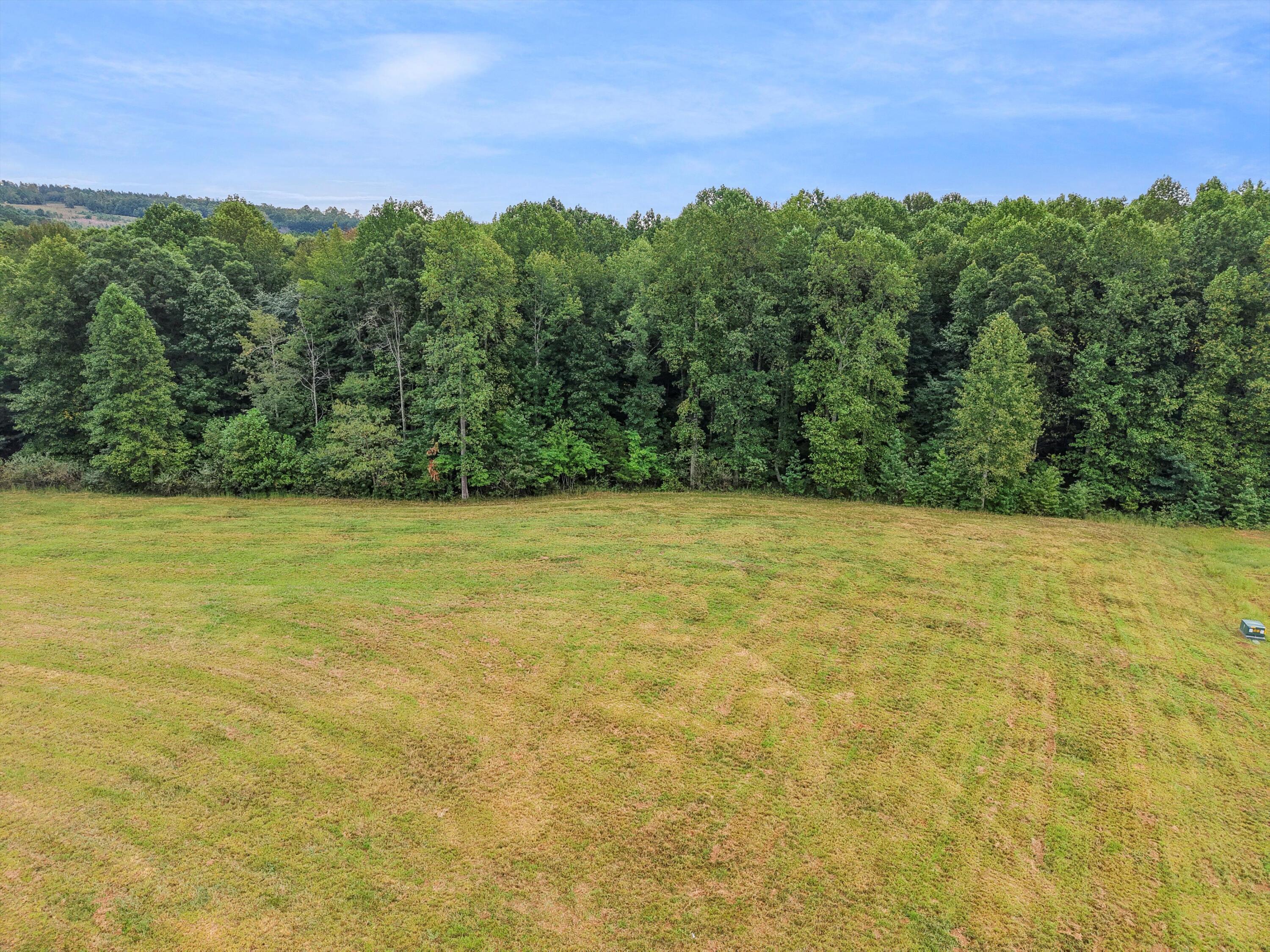 0 Raulston Falls Drive, Unit 133 Jasper, TN 37347 - Photo 17 of 19 17-DJI_20250924095632_0008_D