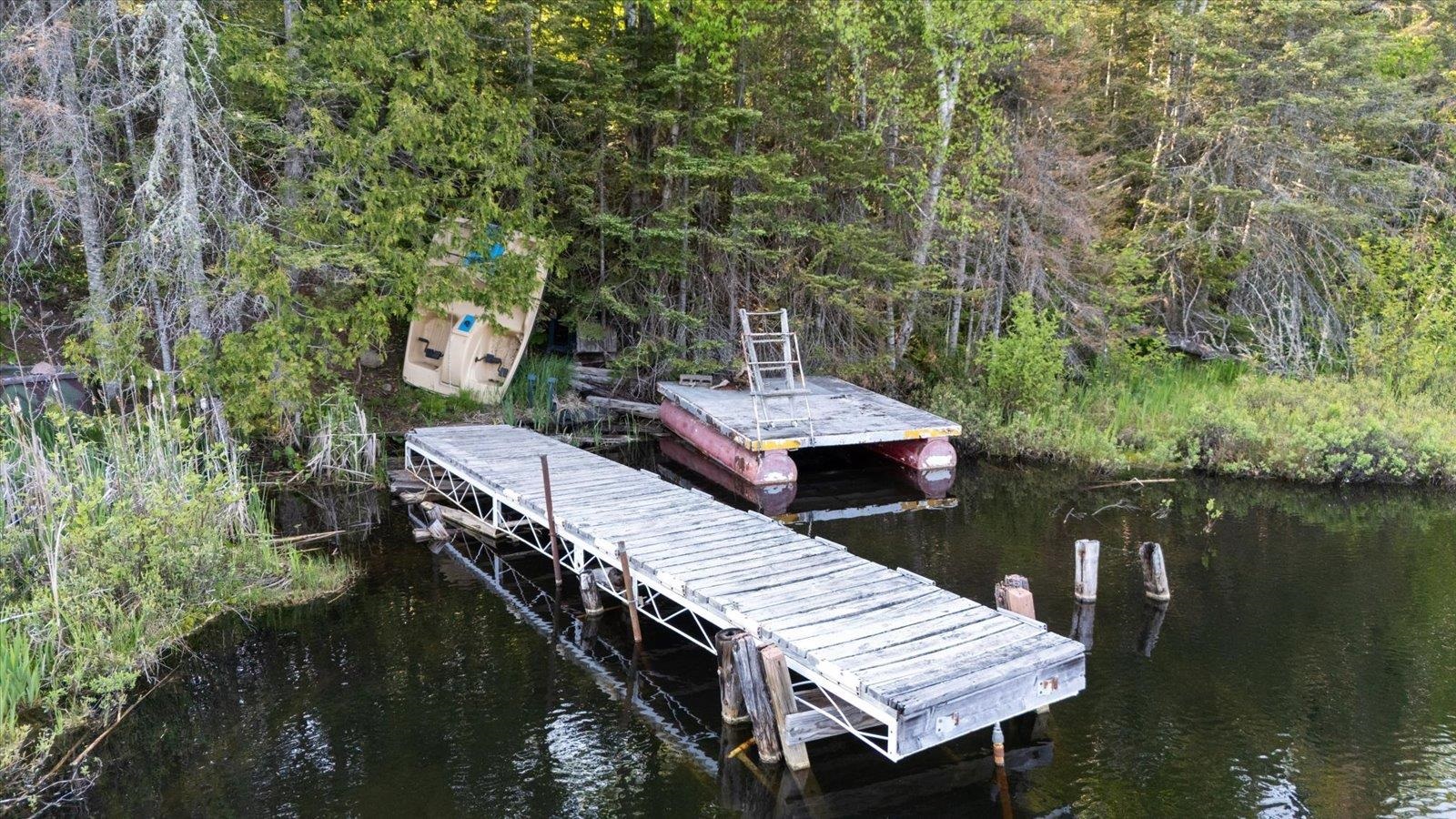9420 Vollmer Drive Isabella, MN 55607 - Photo 11 of 37 Dock area with a water view