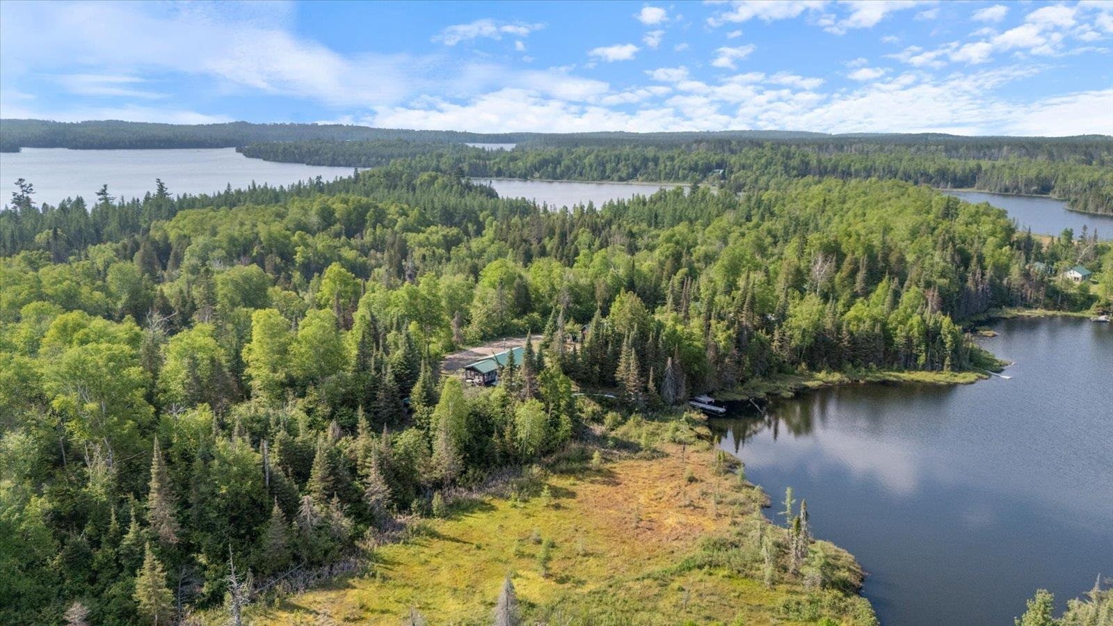 9420 Vollmer Drive Isabella, MN 55607 - Photo 4 of 37 Aerial view of a forest and a large body of water
