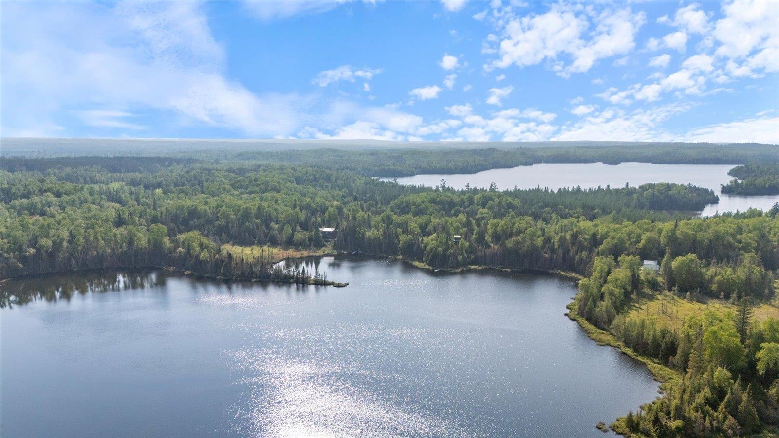 9420 Vollmer Drive Isabella, MN 55607 - Photo 6 of 37 Aerial view of a forest and a nearby body of water