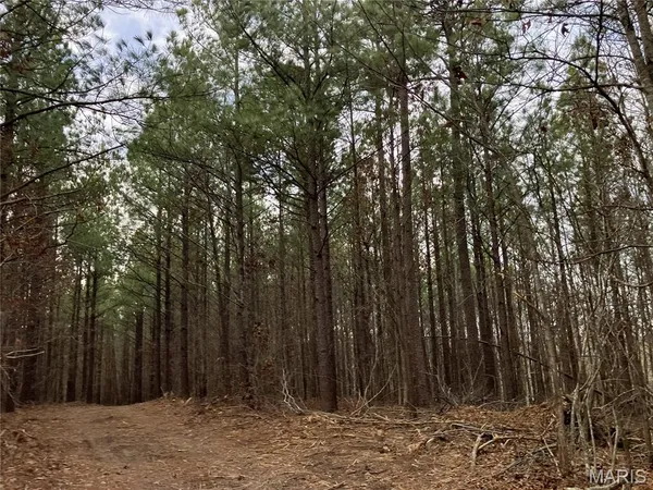 $29,995 | 216 Madison Cr, Fredericktown, MO 63645