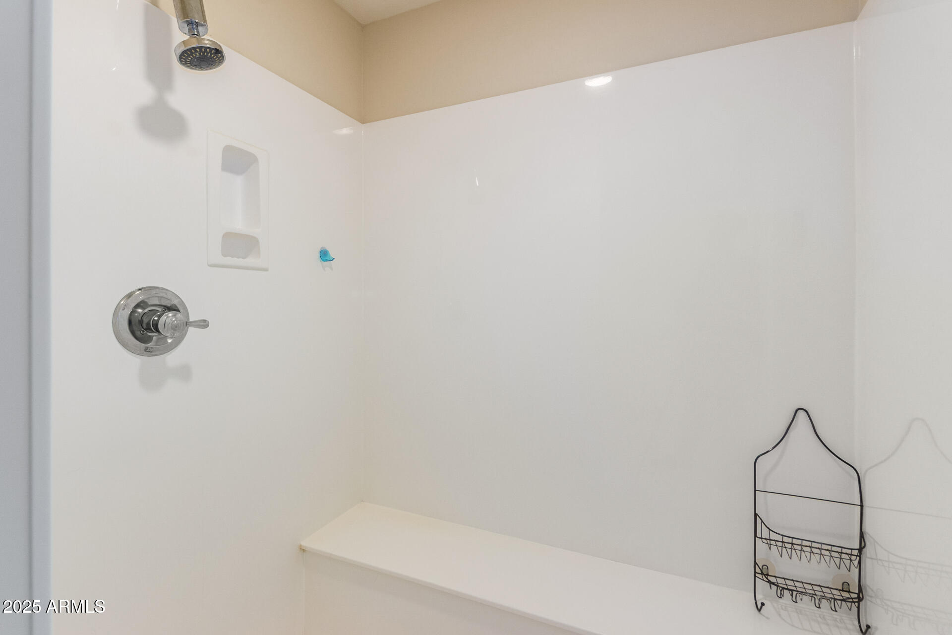 20977 West Hamilton Street Buckeye, AZ 85396 - Photo 21 of 53 Primary bath walk in shower