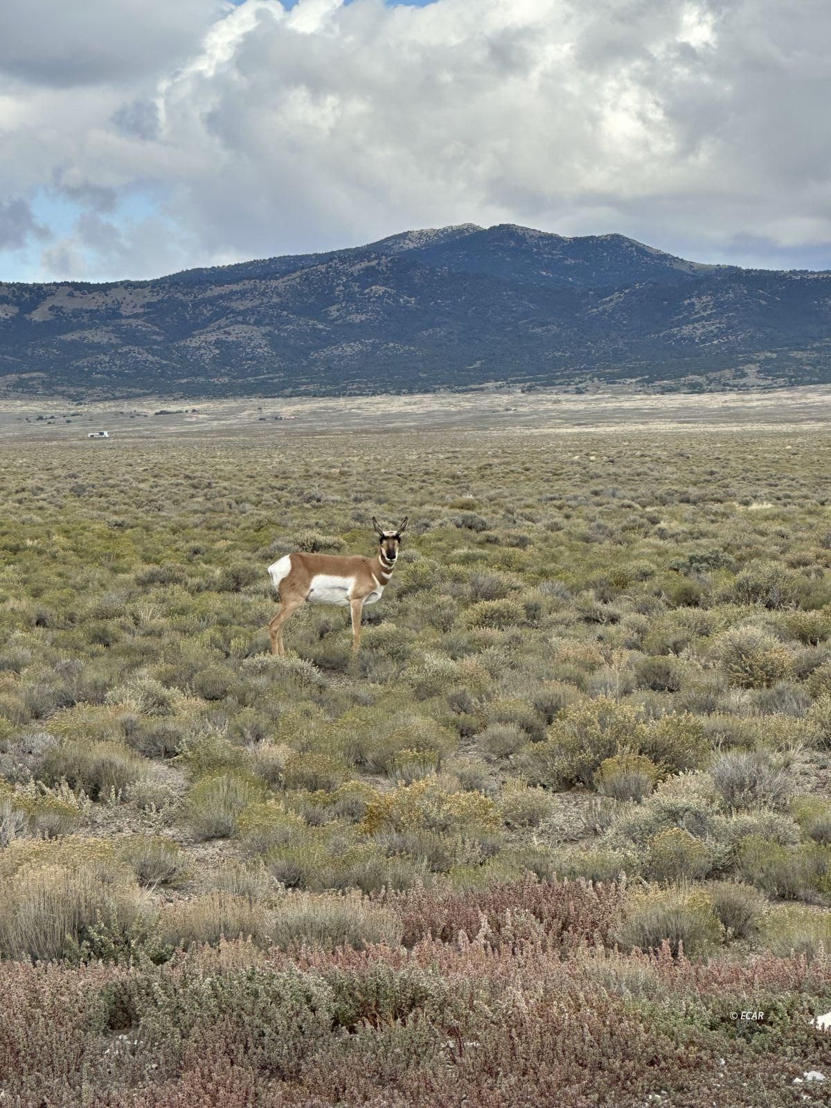 29 Twp 40n Rge 69e Mdb&m Nv Montello, NV 89830 - Photo 1 of 3