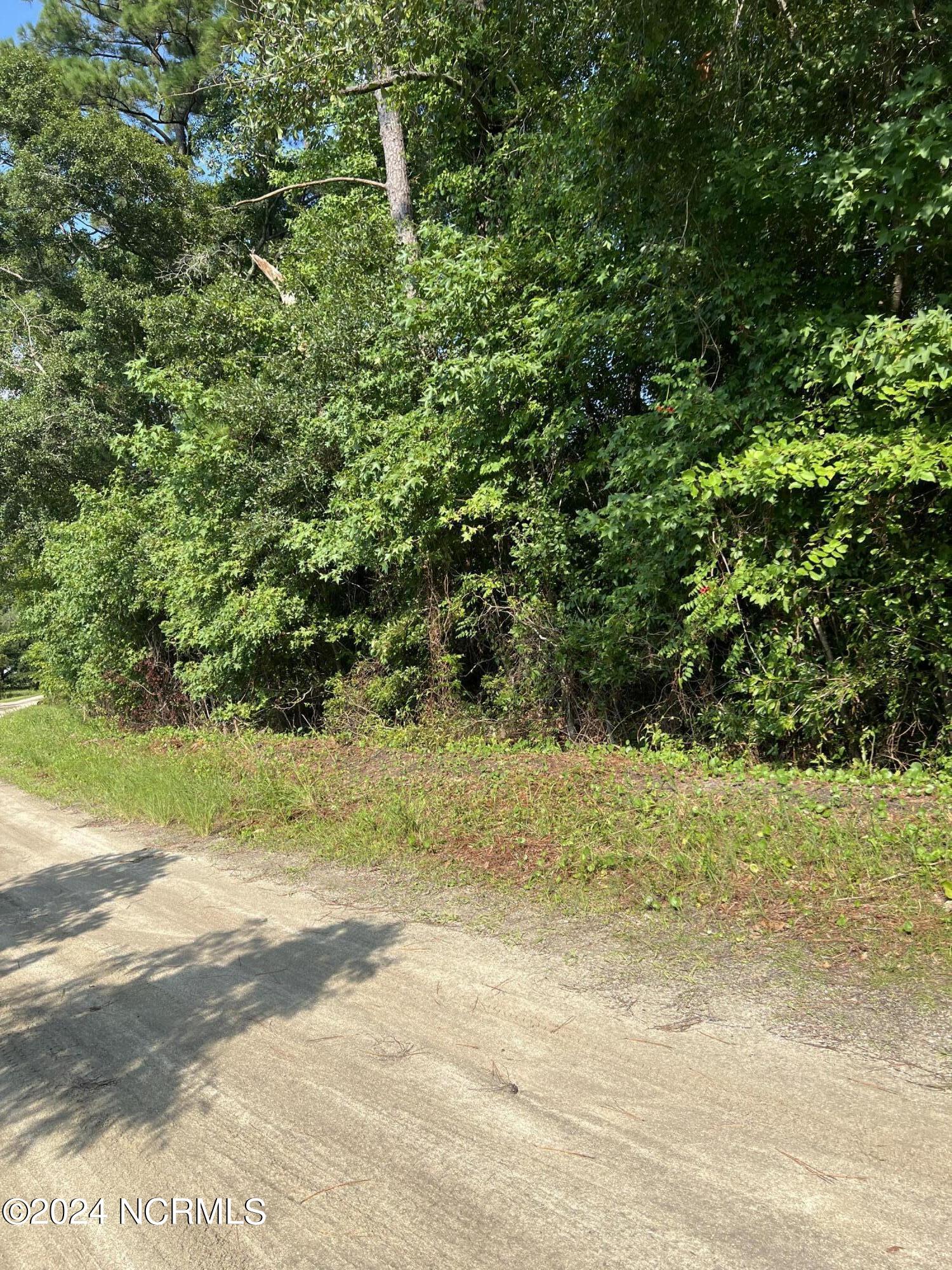 0 Ingram Road Beaufort, NC 28516 - Photo 2 of 5 Ingram Rd View